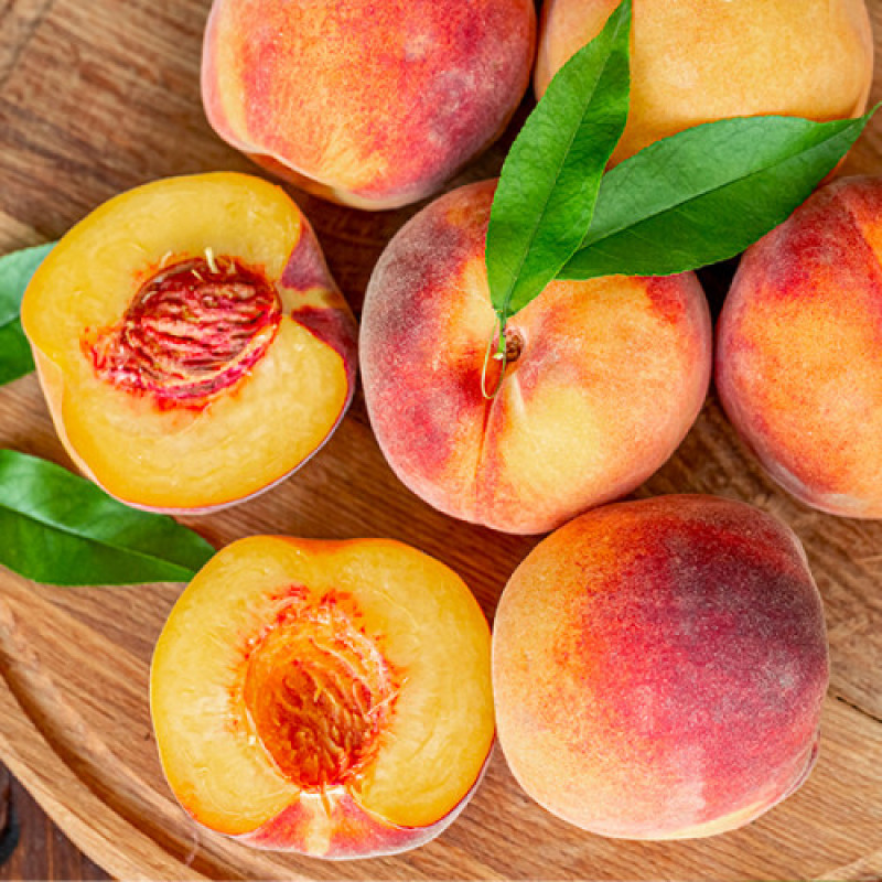 Саджанець персика Кондор — середньопізній, великоплідний, десертний сорт