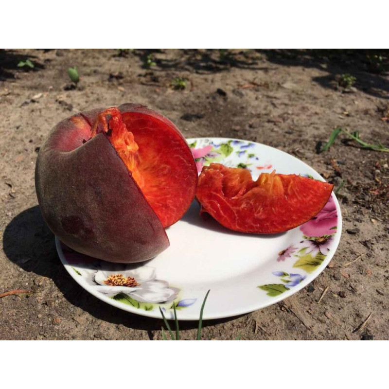 Саджанець персика Роял Маджестик— середньопізній, десертний, великоплідний сорт