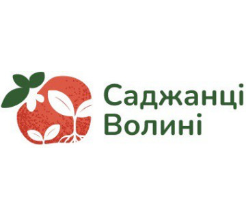 Саджанці Волині 